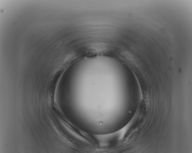 X0000062860456200601201733