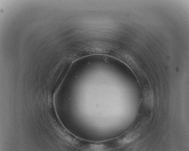 X0000062860457200601201733