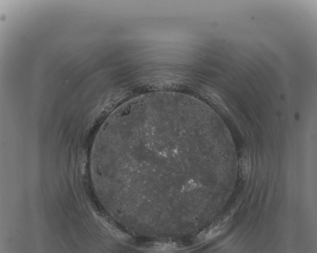 X0000062860458200601201733