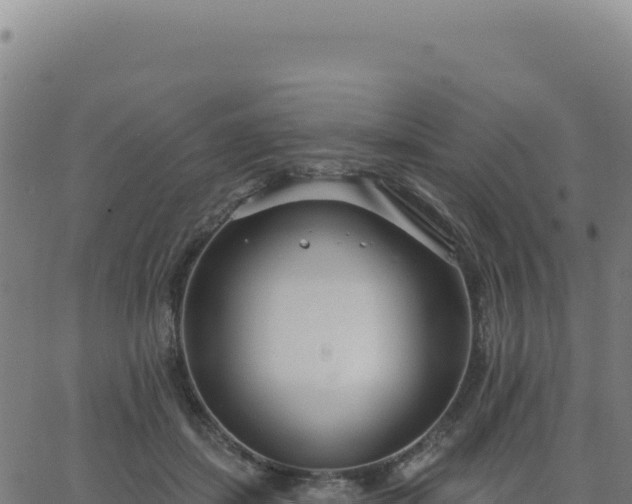 X0000062860459200601201733