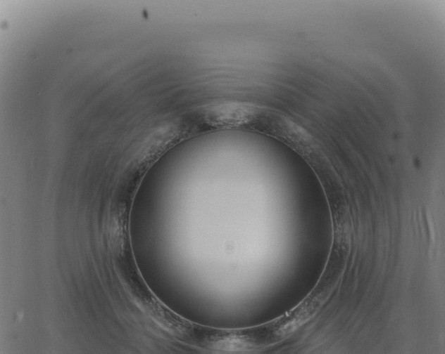 X0000062860460200601201733