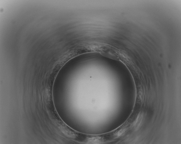 X0000062860461200601201733