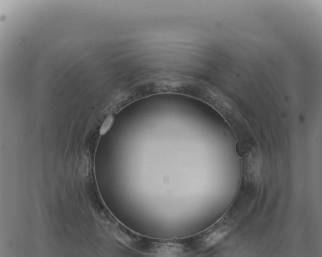 X0000062860463200601201733