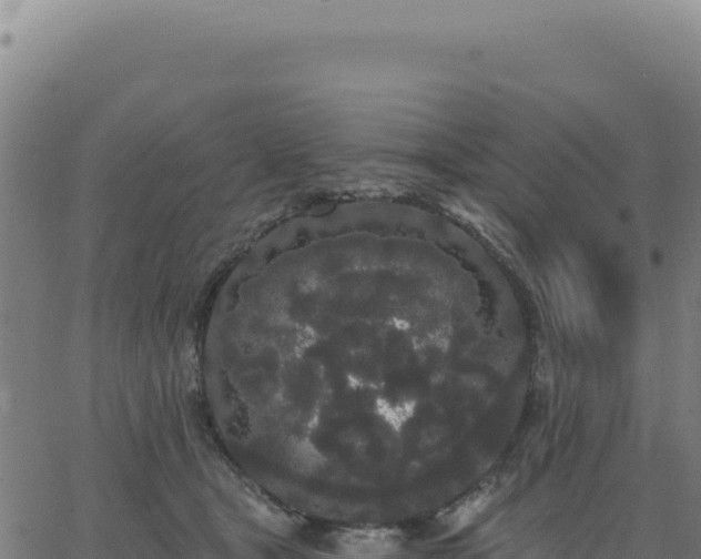 X0000062860465200601201733