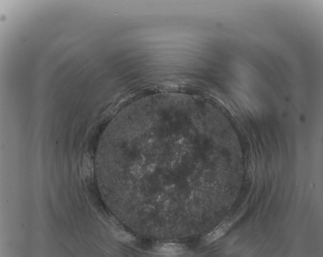 X0000062860467200601201733