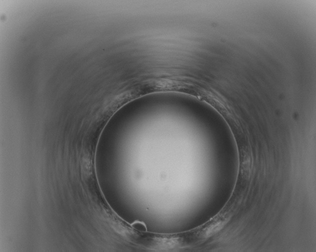 X0000062860469200601201733