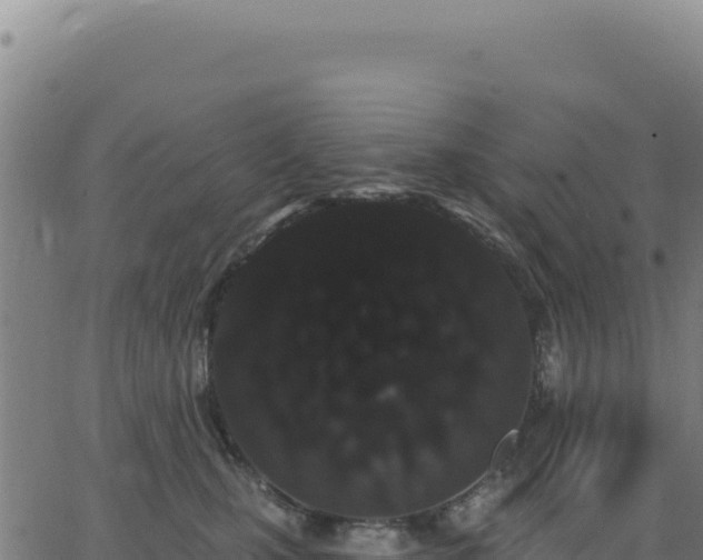 X0000062860471200601201733