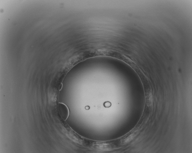 X0000062860472200601201733