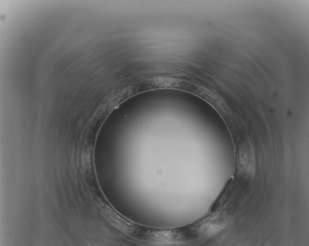 X0000062860473200601201733