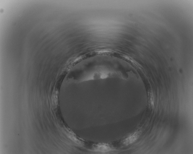 X0000062860475200601201733