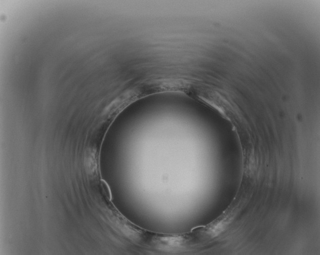 X0000062860478200601201733