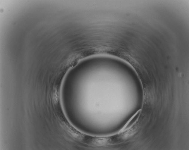 X0000062860479200601201733