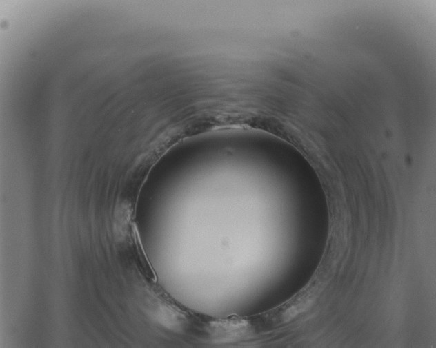 X0000062860480200601201733