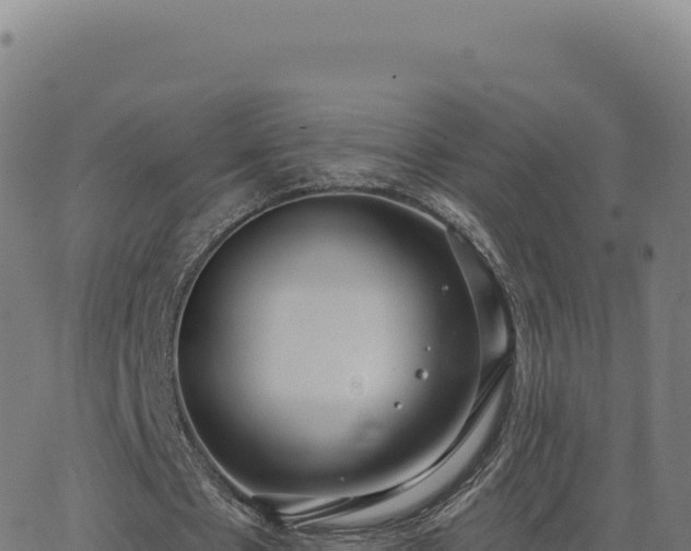 X0000062860481200601201733