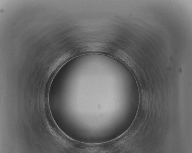 X0000062860482200601201733