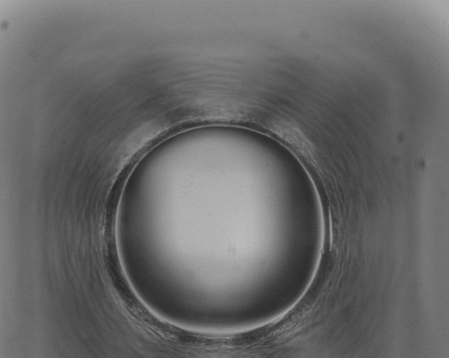 X0000062860483200601201733