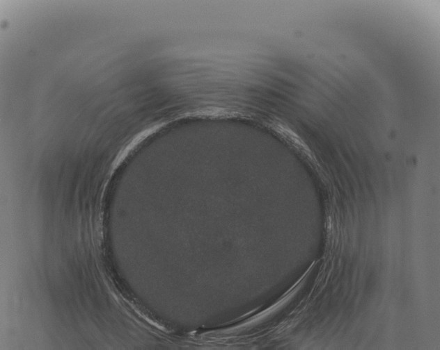 X0000062860484200601201733