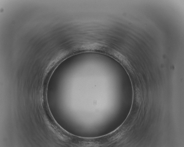 X0000062860486200601201733