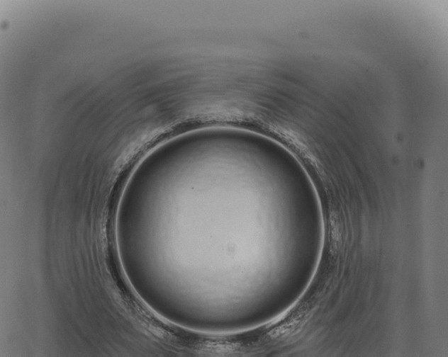 X0000062860487200601201732