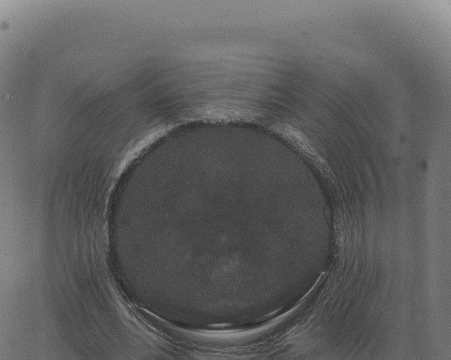 X0000062860488200601201732