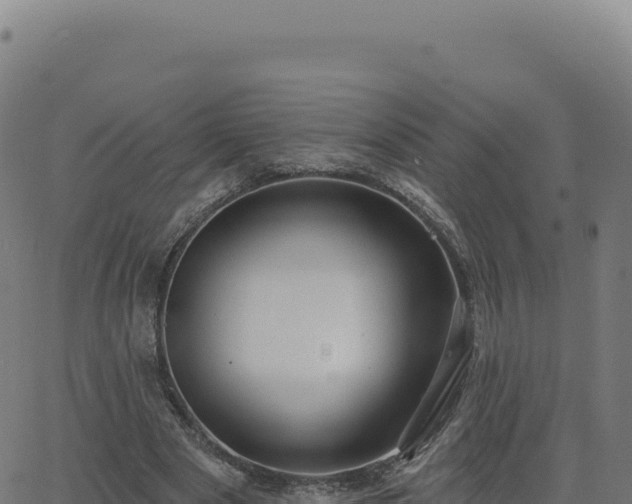 X0000062860489200601201732