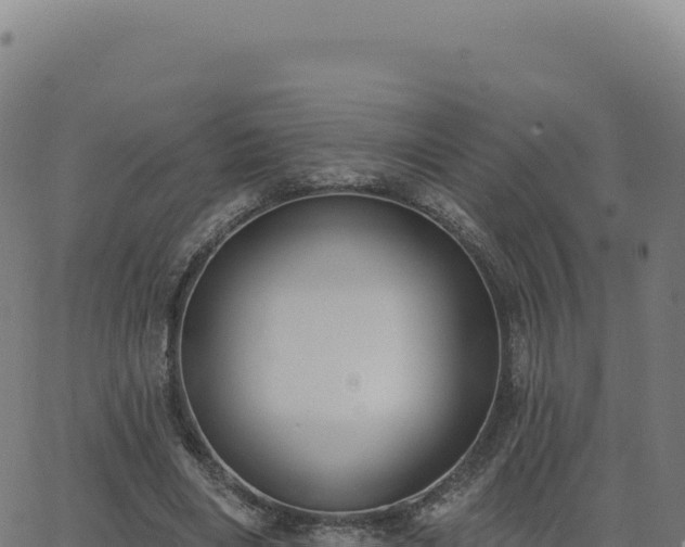 X0000062860490200601201732