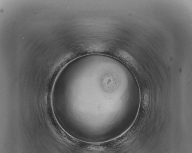 X0000062860491200601201732