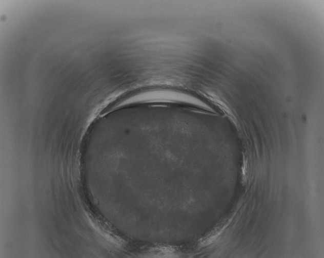 X0000062860492200601201732