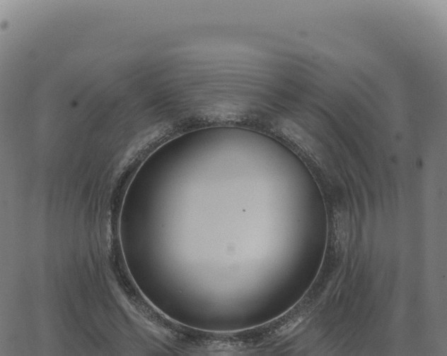 X0000062860494200601201732