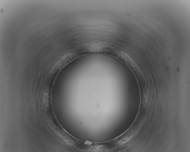 X0000062860497200601201732