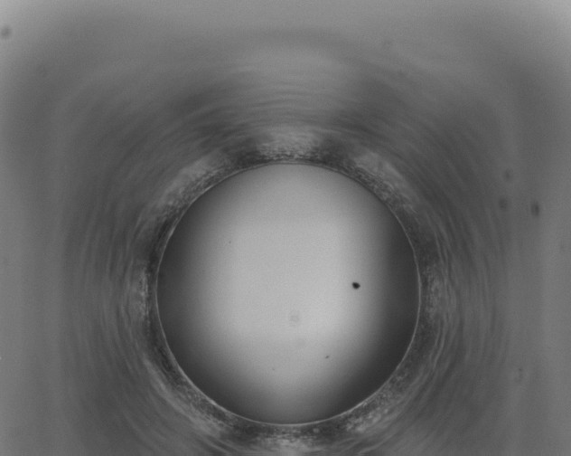 X0000062860498200601201732