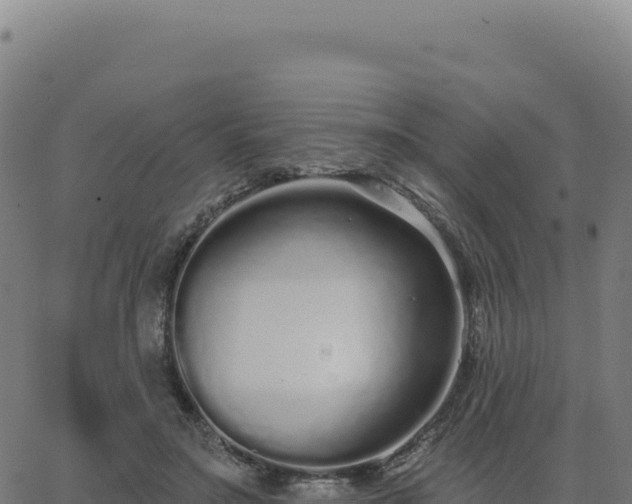 X0000062860499200601201732