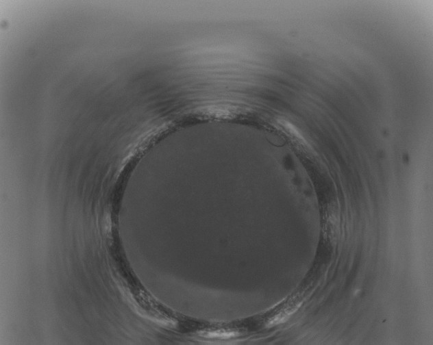 X0000062860500200601201732