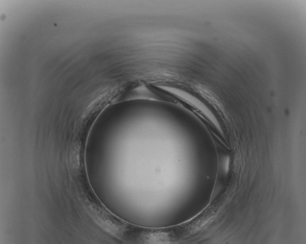 X0000062860501200601201732