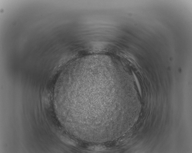 X0000062860503200601201732