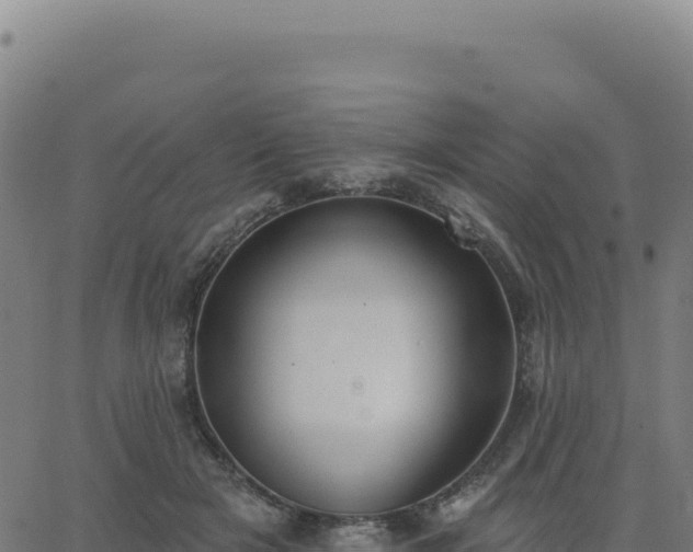 X0000062860505200601201732