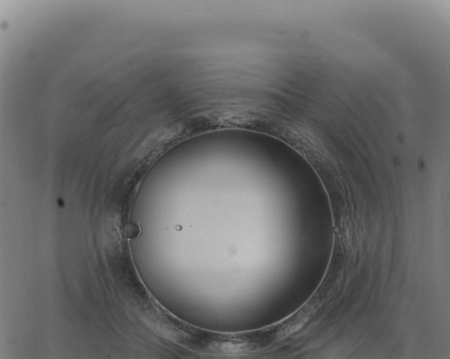 X0000062860506200601201732