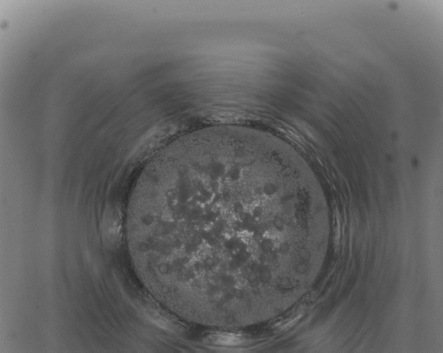 X0000062860507200601201732