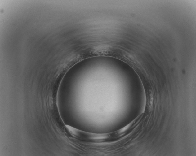 X0000062860508200601201732