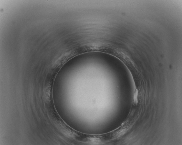 X0000062860509200601201732