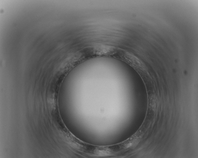 X0000062860510200601201732