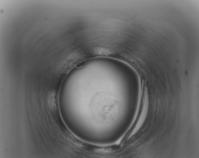 X0000062860511200601201732