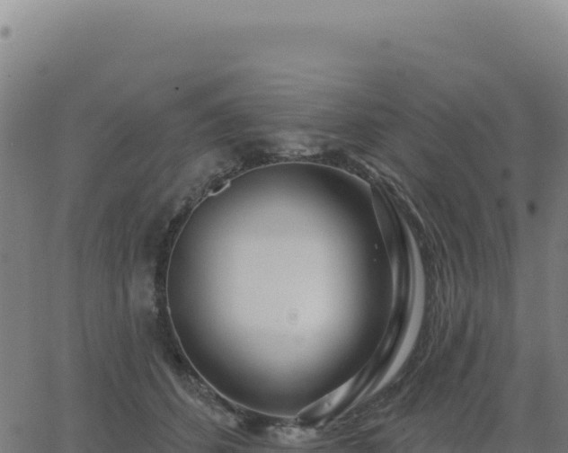 X0000062860512200601201732