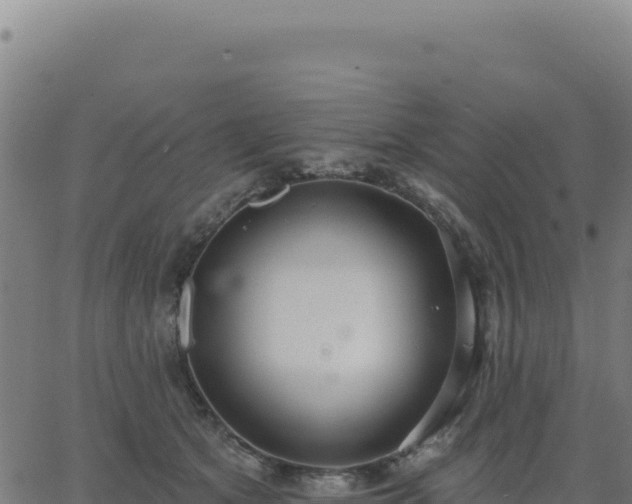 X0000062860513200601201732