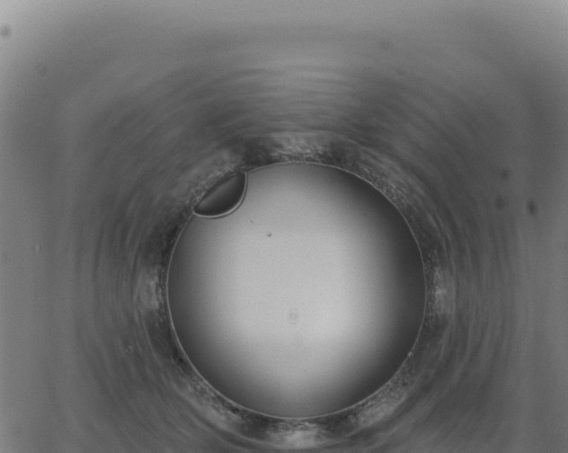 X0000062860514200601201732