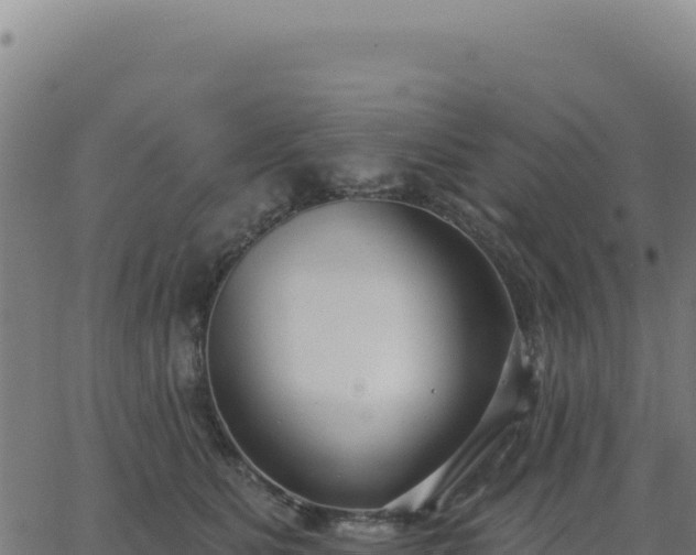 X0000062860515200601201732