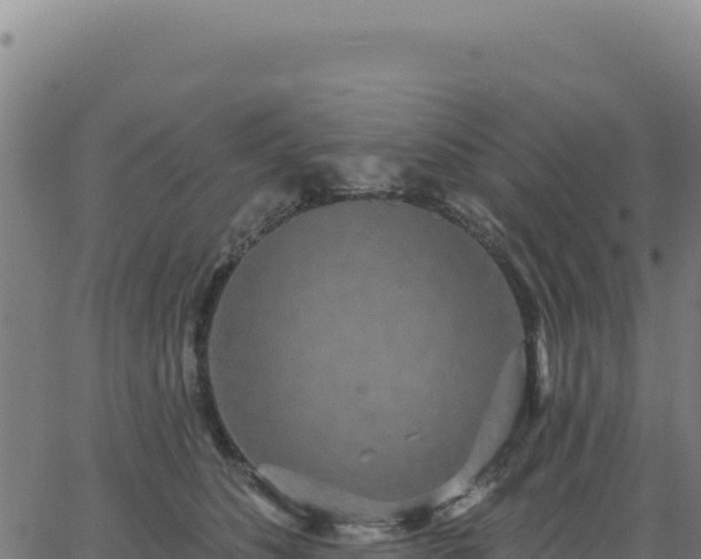 X0000062860516200601201732