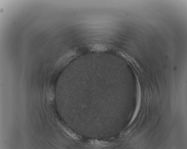 X0000062860517200601201732