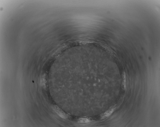 X0000062860519200601201732