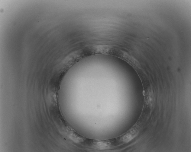 X0000062860522200601201732